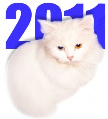 Год белого Кота