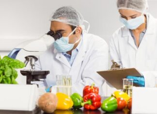 Практика назначения и производства экспертиз в отношении пищевых продуктов