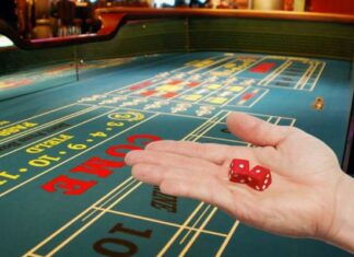 Как научиться играть и выигрывать в Лекс Казино