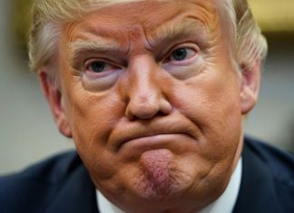 «Именно он уговорил Трампа»: на Западе назвали имя «ястреба», который убедил президента США ввести санкции против РФ