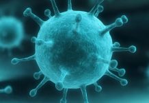 Гонконгский грипп атакует Россию. Врачи бьют тревогу — взрослых «вырубает» за пару часов