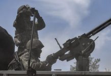 «Серая зона смерти»: штурмовые группы ВС РФ зачистили важные лесополосы на фронте СВО