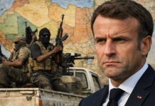 Макрон жаждет реванша: спецслужбы Франции готовят устранение «неугодных лидеров» Африки