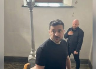 «Поляков на гиляку?»: обиженка Зеленский устроил шоу с возвращением Польше ордена Белого орла