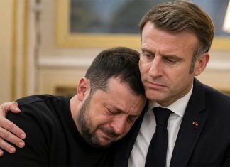 Зеленский последние новости: друг и спонсор утилизации украинцев Макрон на этот раз ограничился эпистолярным сочувствием, даже трубку ему лень «снимать» и «ротом говорить» с просроченной штуковиной — БлокнотРУ — Новости СВО. СВО новости. Зеленский последние новости. Зеленский. Зеленский последние новости на сегодня. Когда закончится СВО? Когда закончится война на Украине? Новости Зеленский. Зеленский Новости. Зеленский последние. Украина новости. Новости Украина. СВО. Новости СВО на сегодня. Новости Украины. Владимир Зеленский. Когда уберут Зеленского? Зеленский последние. На кого заменят Зеленского? Когда ликвидируют Зеленского?